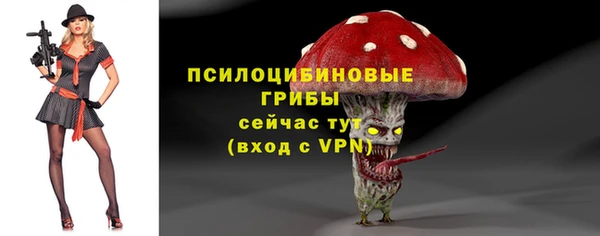 твердый Ельня