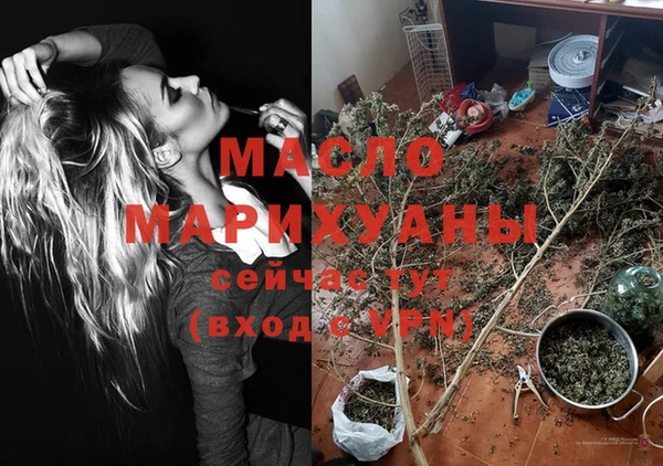 твердый Ельня