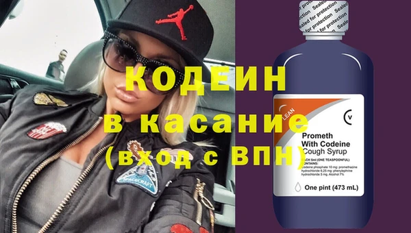 твердый Ельня