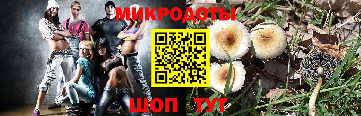 Псилоцибиновые грибы GOLDEN TEACHER  Галлюциногенные грибы GOLDEN TEACHER  Сердобск 