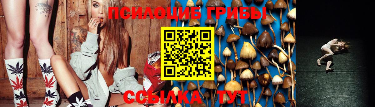 Сердобск  Галлюциногенные грибы Magic Shrooms  Вход с VPN 
