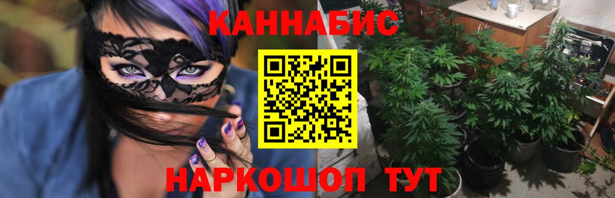 Бошки Шишки индика  Конопля семена  Сердобск  Канабис AK-47  Конопля план  Вход с VPN 